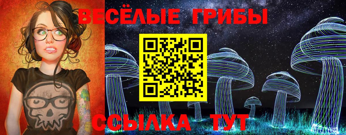 Псилоцибиновые грибы Psilocybine cubensis  Вход с VPN  Шахты 