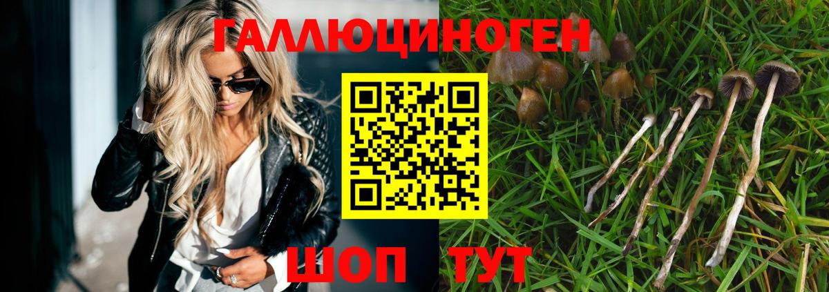 Галлюциногенные грибы мицелий Шахты